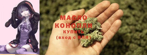 дживик Богородицк