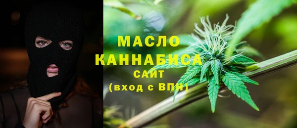 дживик Богородицк