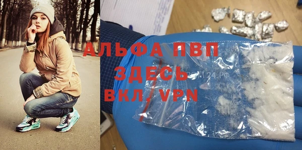 дживик Богородицк