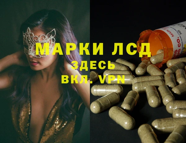 дживик Богородицк
