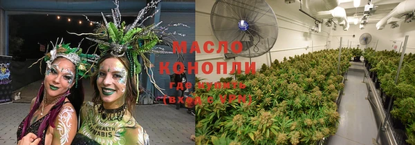 дживик Богородицк
