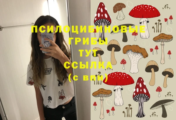 дживик Богородицк