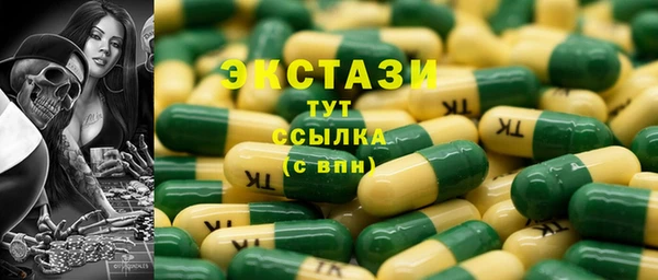 дживик Богородицк