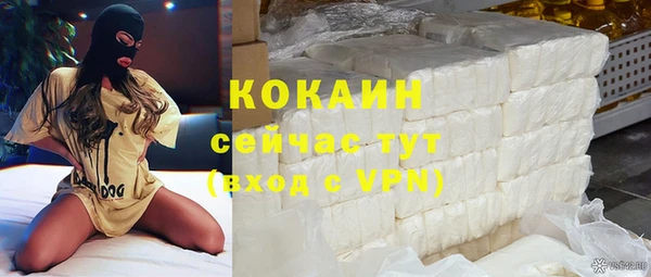 эйфоретик Богданович