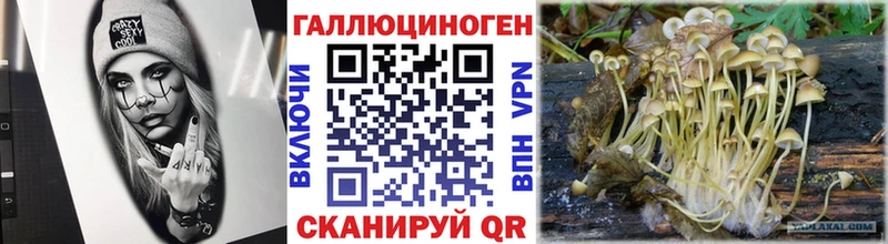 Псилоцибиновые грибы Psilocybine cubensis  купить  сайты  Елизаветинская 
